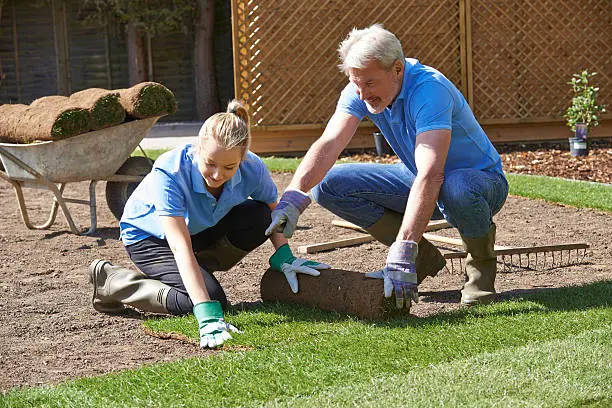 Dependable Sod Installation in Tuscaloosa, AL