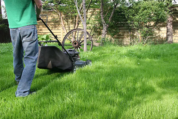 Reliable Lawn Mowing in Tuscaloosa, AL