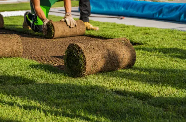 Sod Installation in Tuscaloosa, AL